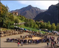 Panoramica della Mostra di Camerata