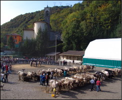 Panoramica della Mostra di Camerata